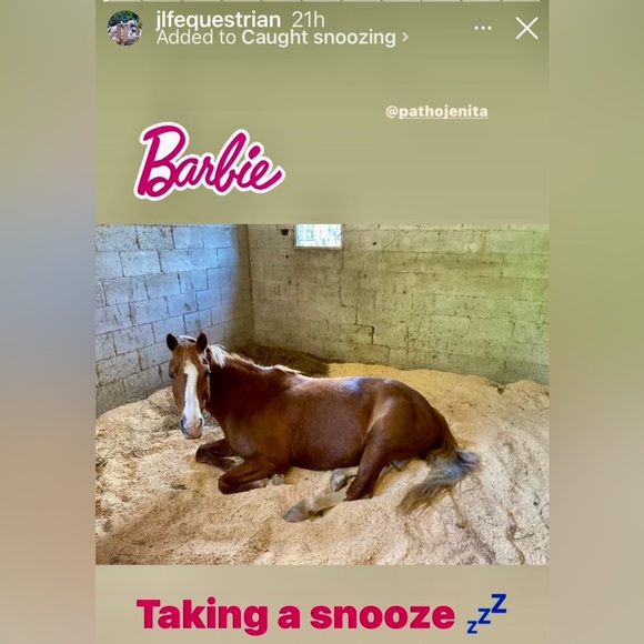 FOLLOW THE JONESES TO 400K! - Picture 13 of 16